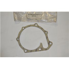 Polonez water pump seal